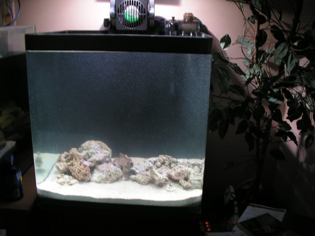 PICT1030.jpg