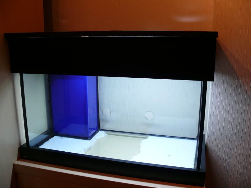 June09120.jpg