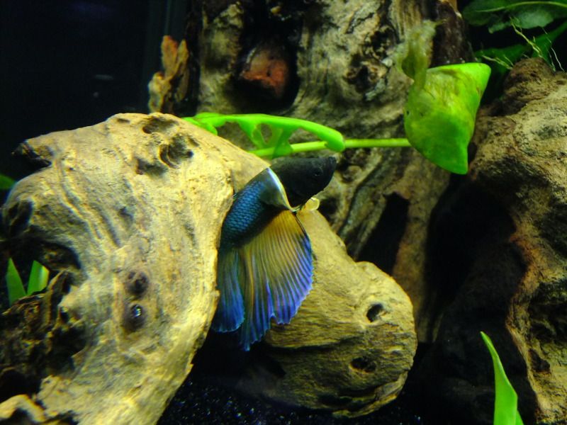 DSCF2971.jpg