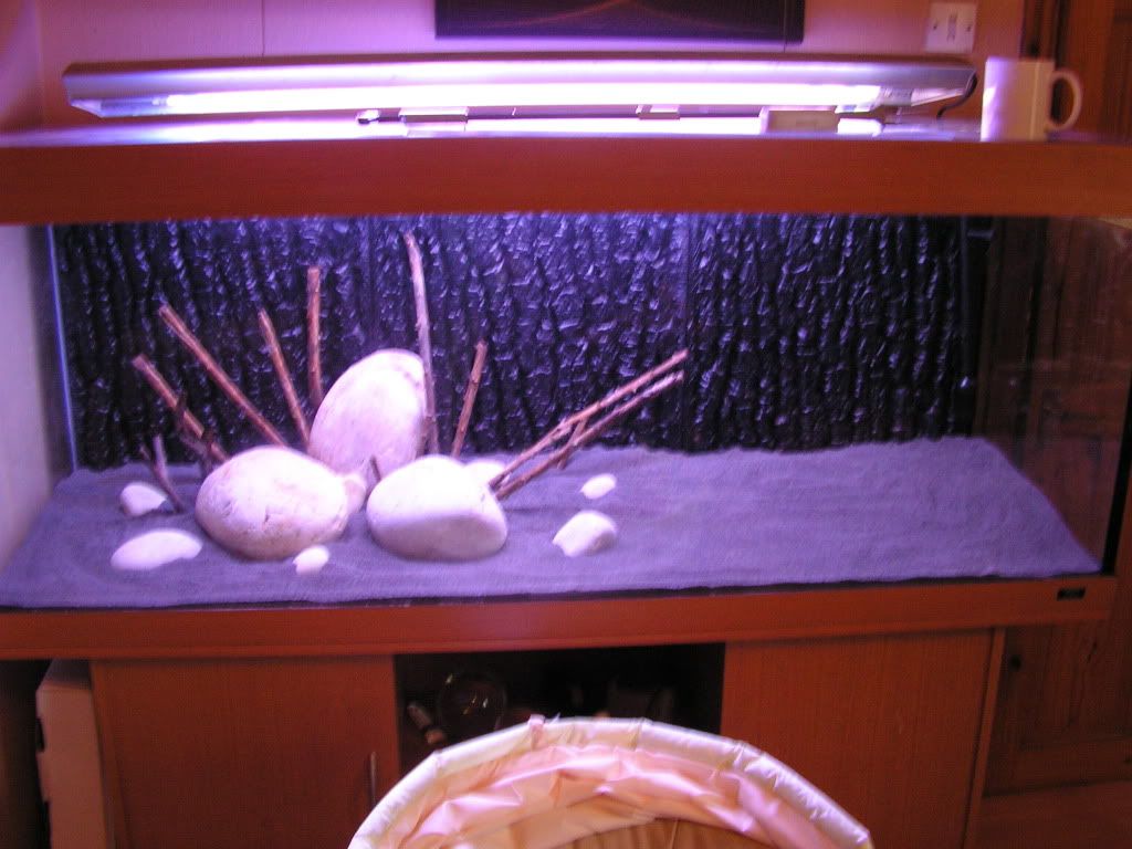 PICT1130.jpg