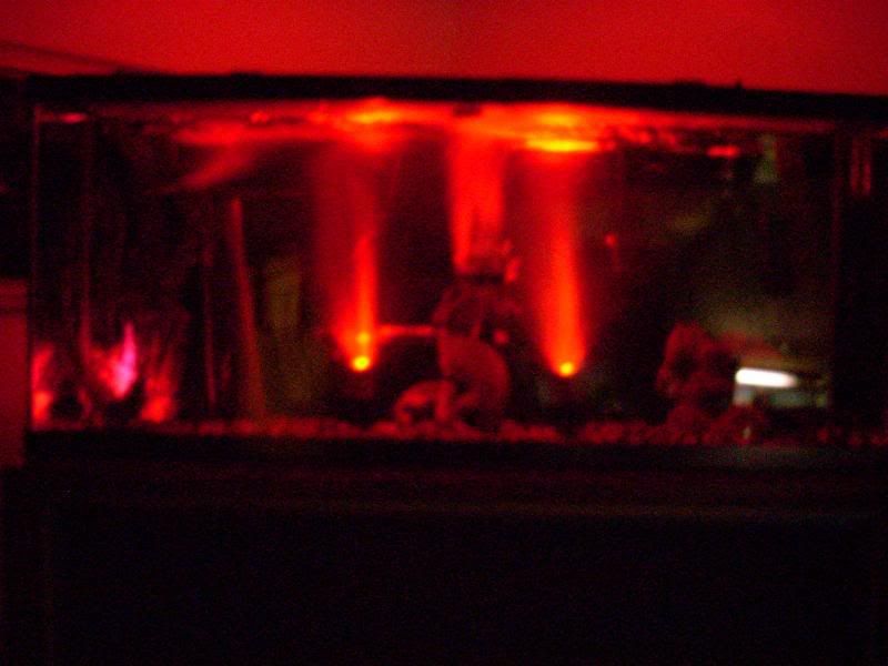 DSCN1016.jpg