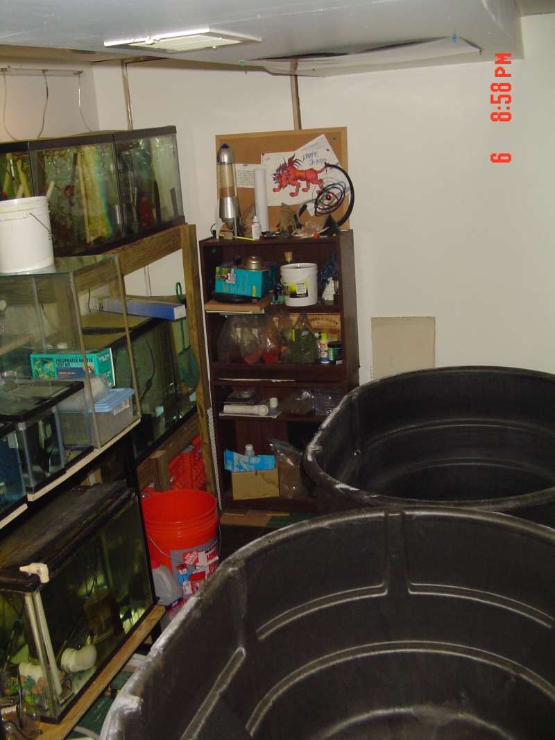 dsc015091jp6.jpg