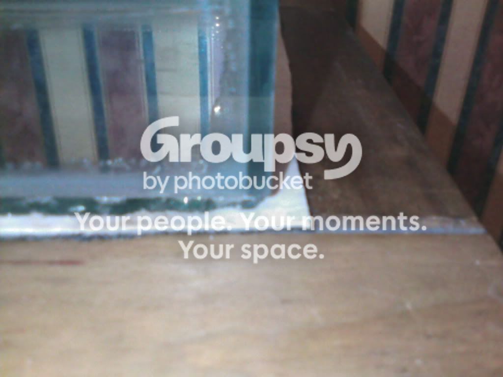 IMG111.jpg