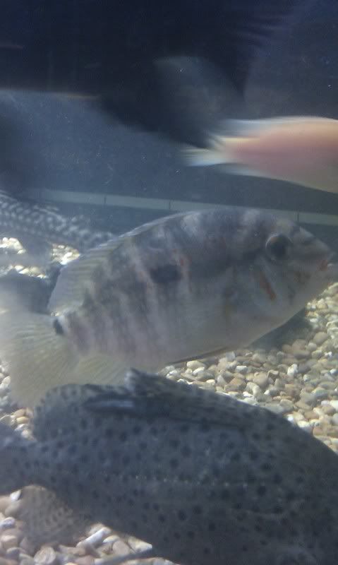 IMAG0502.jpg