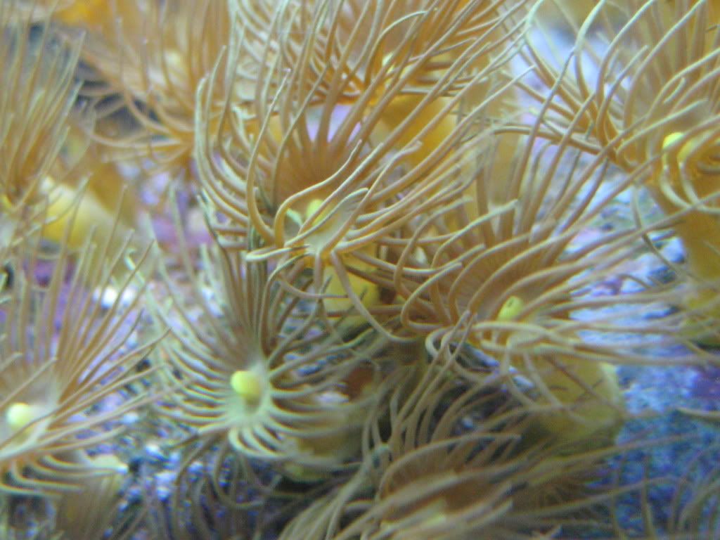 IMG_1472.jpg