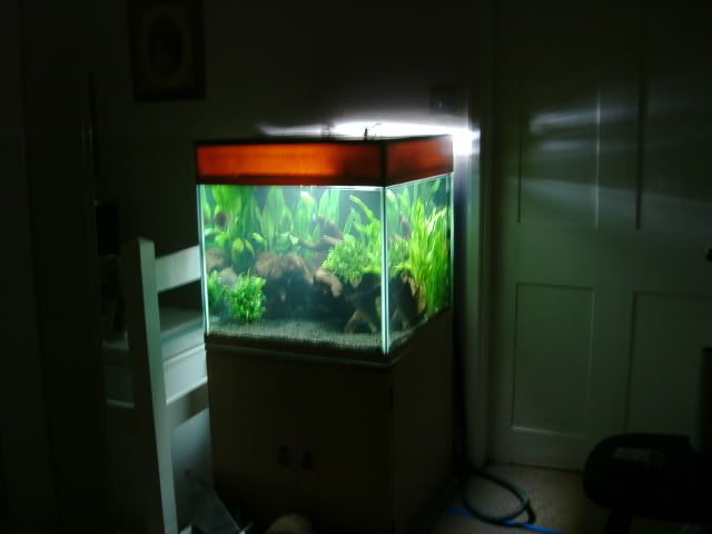 50g14.jpg