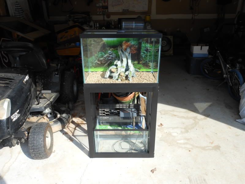 DSCN2507.jpg
