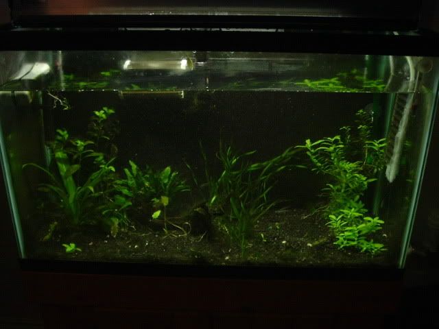 DSCF1495.jpg