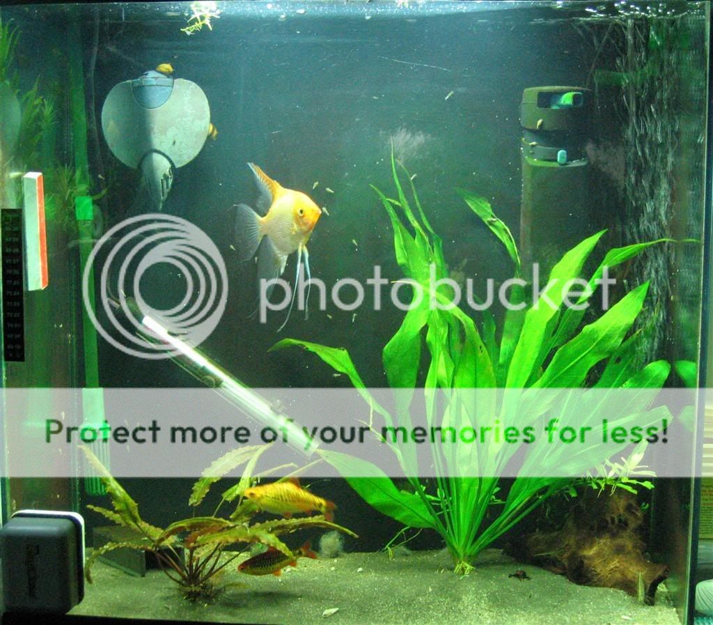 IMG_0036xLarge.jpg