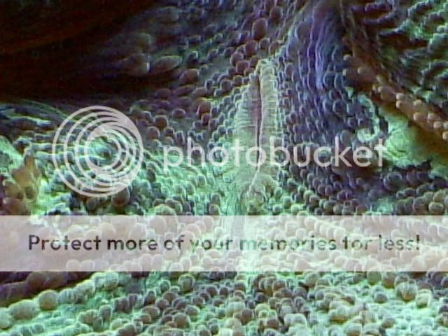 S5030005-1.jpg