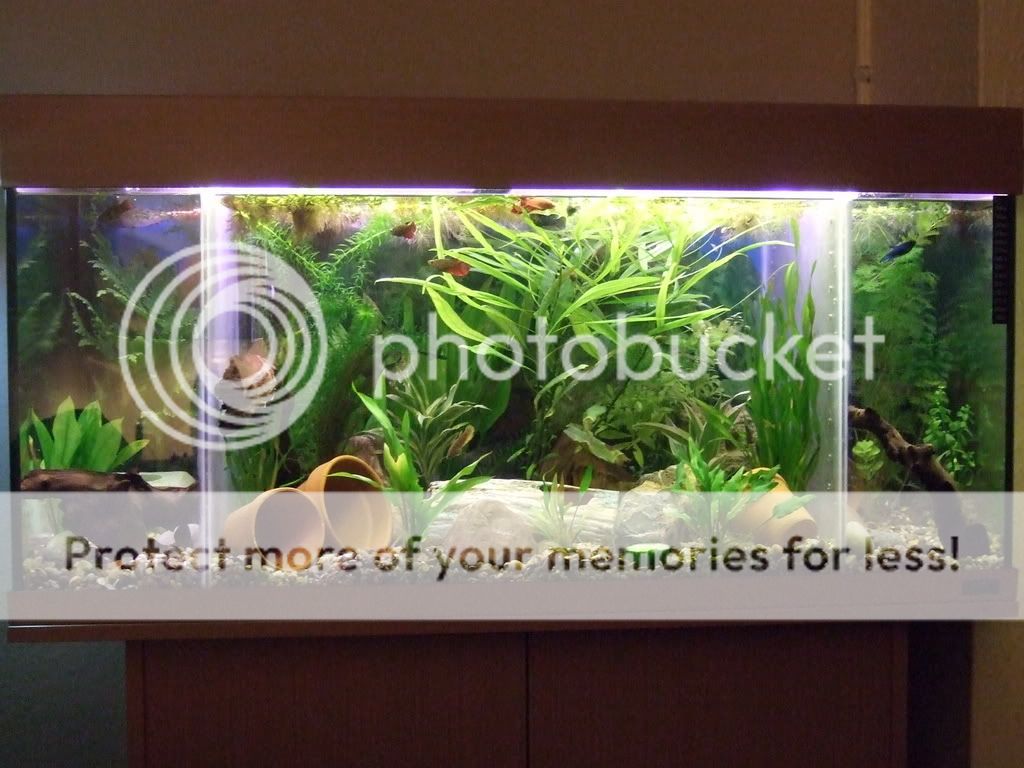 DSCF6022.jpg