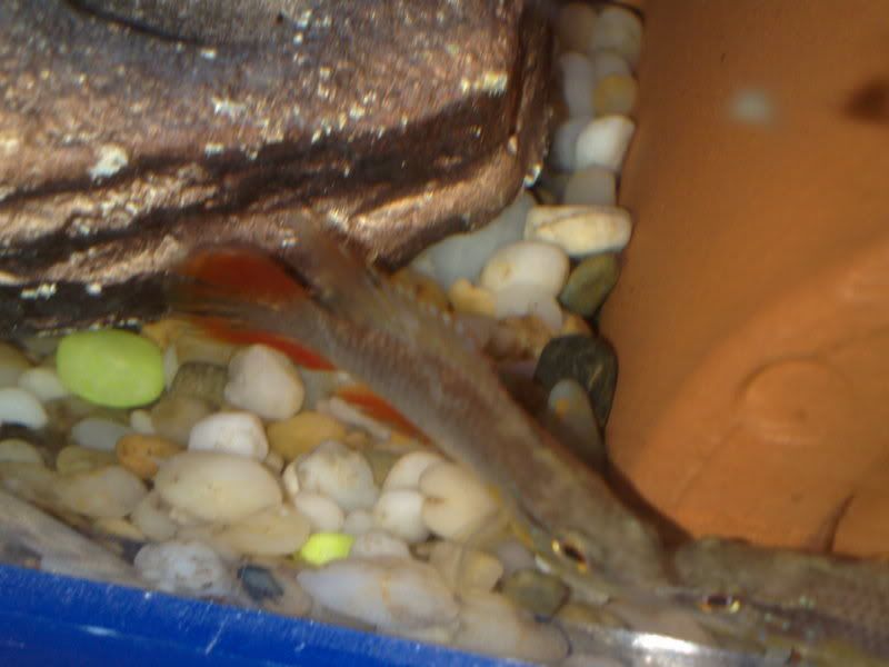 21082009882.jpg