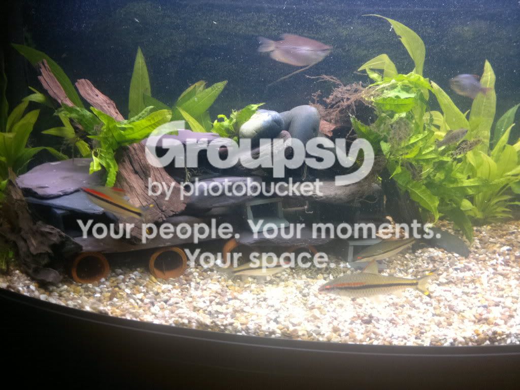 20111124469.jpg