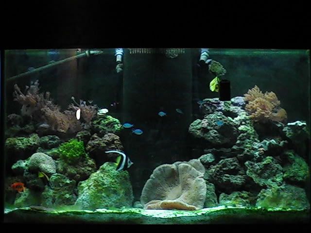 PIC_0136.jpg