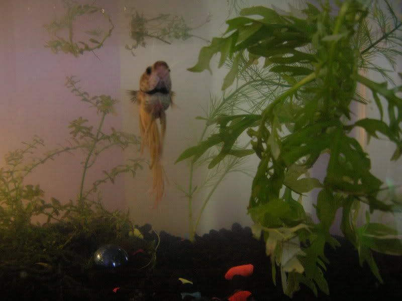 DSCN1621.jpg