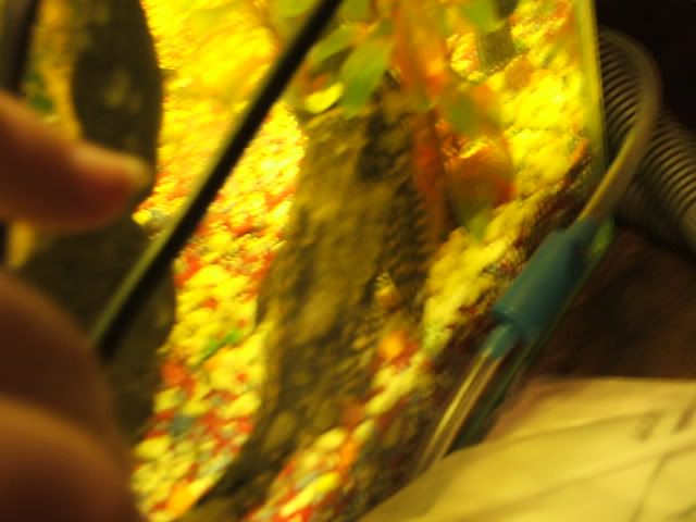Picture013.jpg