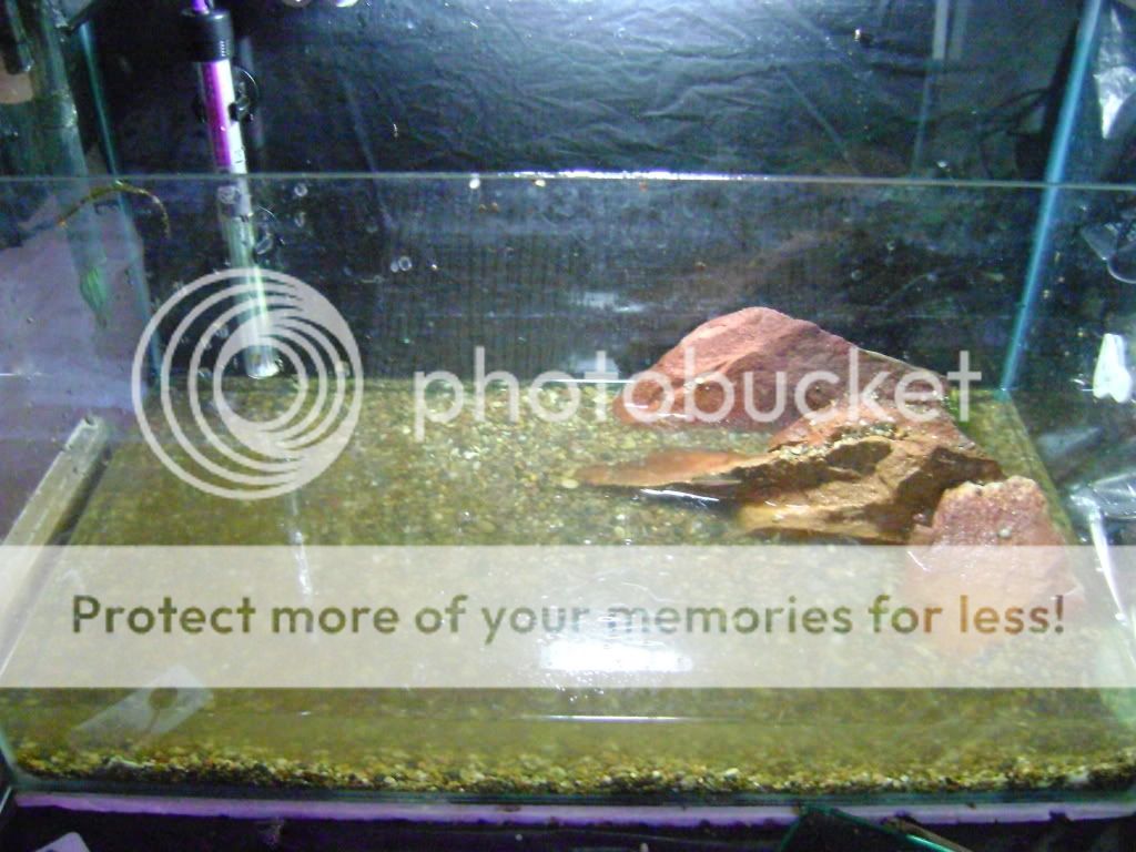DSC02054.jpg