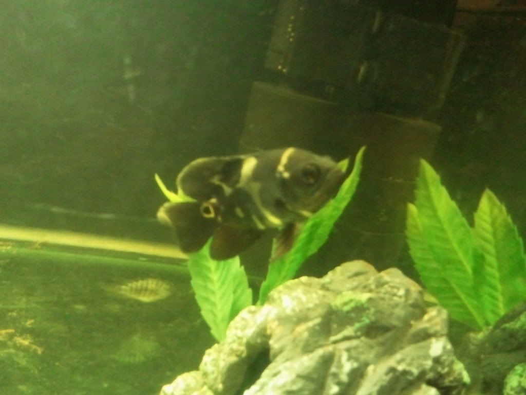2012-01-03184038.jpg