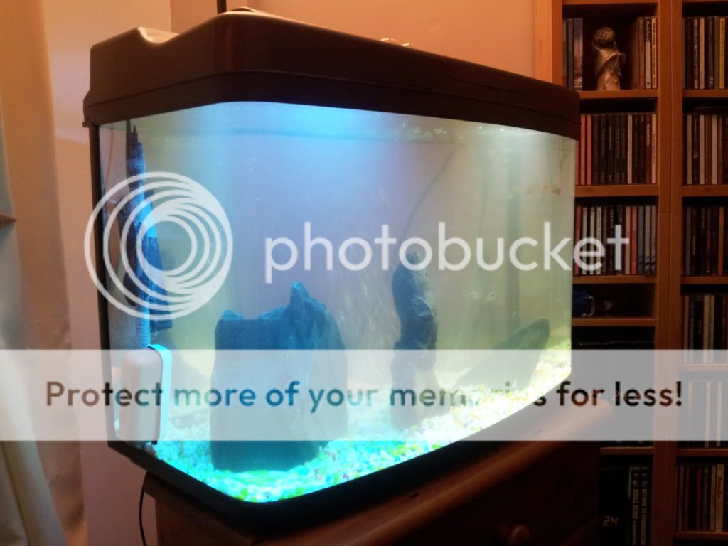 2011-11-20190826.jpg
