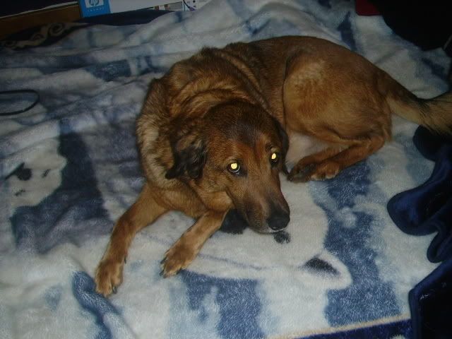 Picture084.jpg