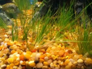 photo-7.jpg