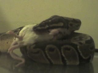Picture0156.jpg