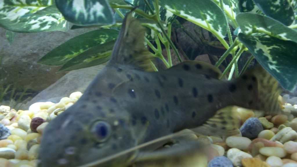 2011-06-19_20-40-46_223.jpg