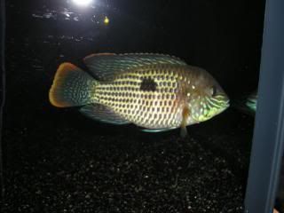 DSCN1797.jpg