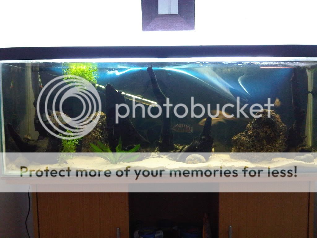 IMG00033-20090904-1507.jpg