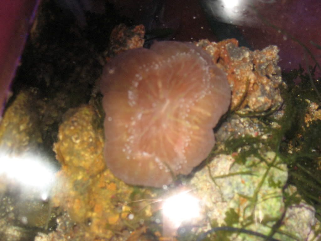 IMG_2047.jpg
