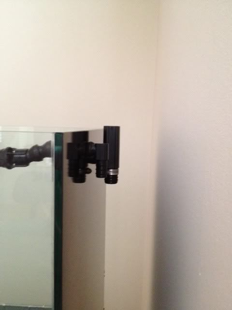 photo2.jpg