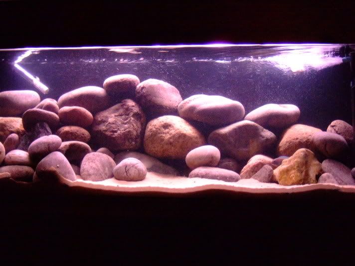 2006_0828fish0017.jpg