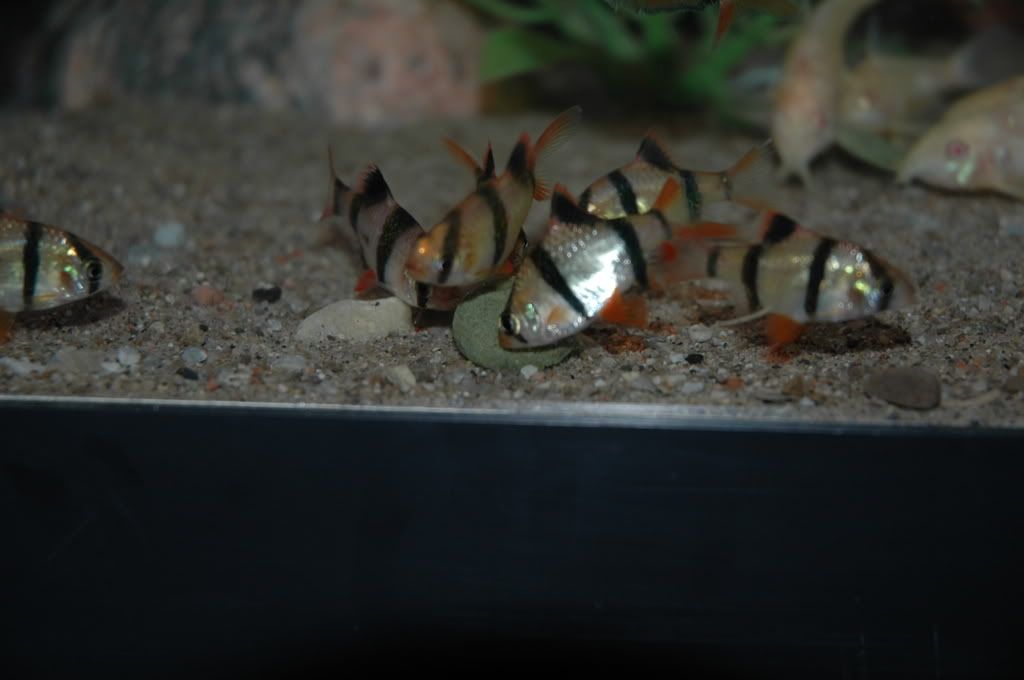 DSC_5018.jpg
