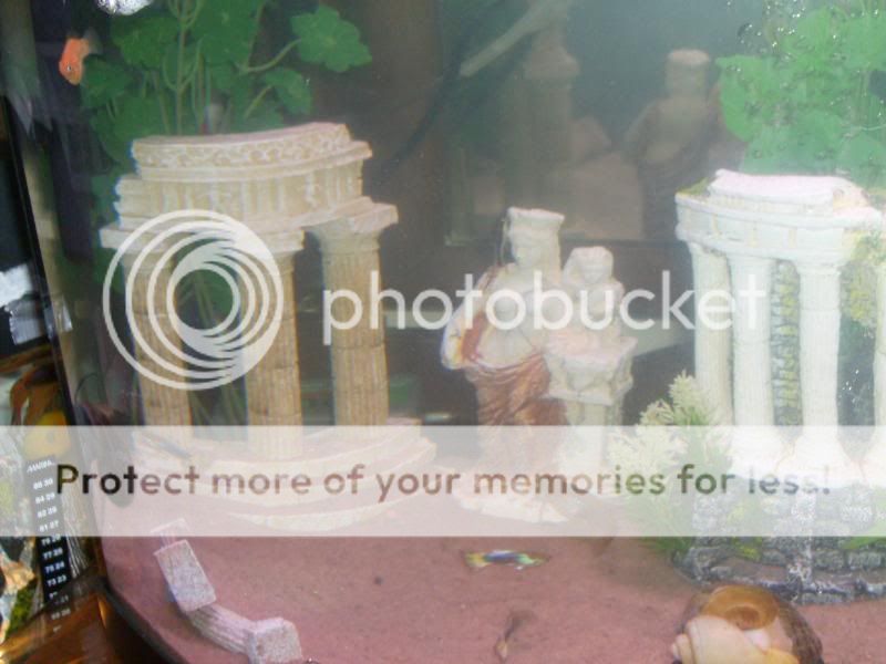 sortedphotos0800037-1.jpg