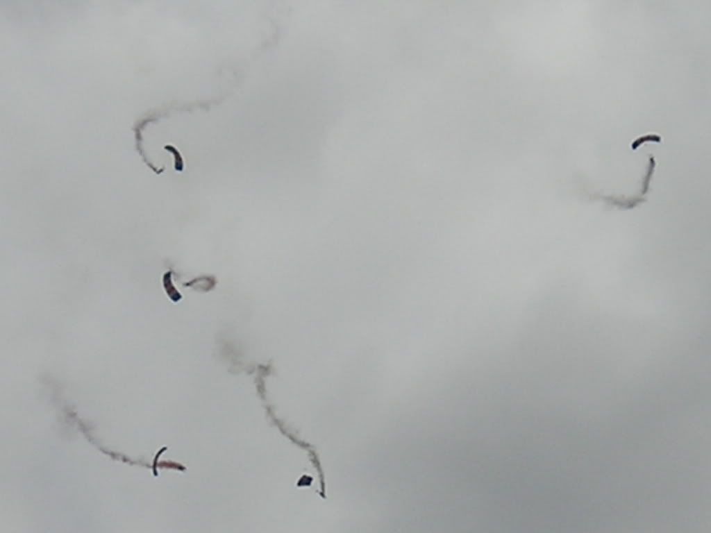 waddington086.jpg