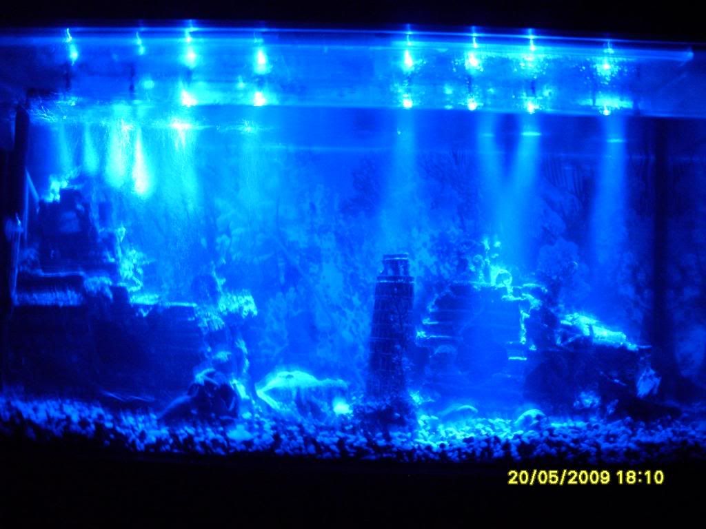 5c2e5975.jpg