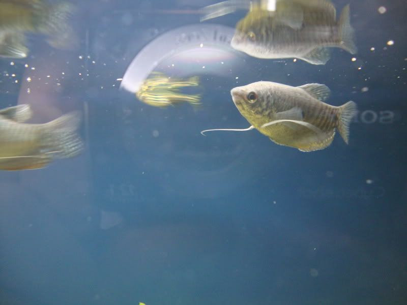 DSC00220.jpg