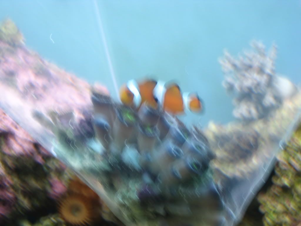IMG_0034.jpg