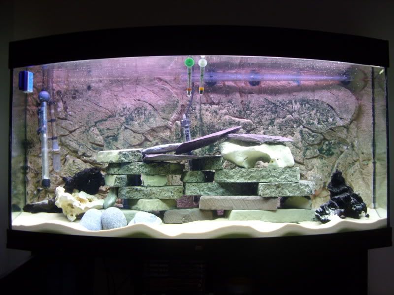 FishtankNov2011001.jpg