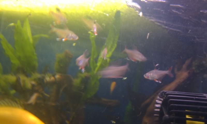 IMAG0894.jpg