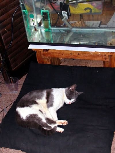 DSCN8906.jpg