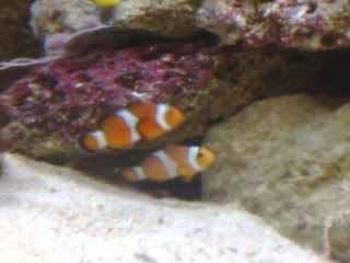 Picture065.jpg