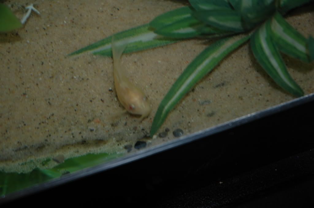 DSC_4861.jpg