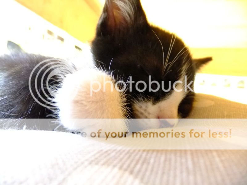 DSCF2868.jpg