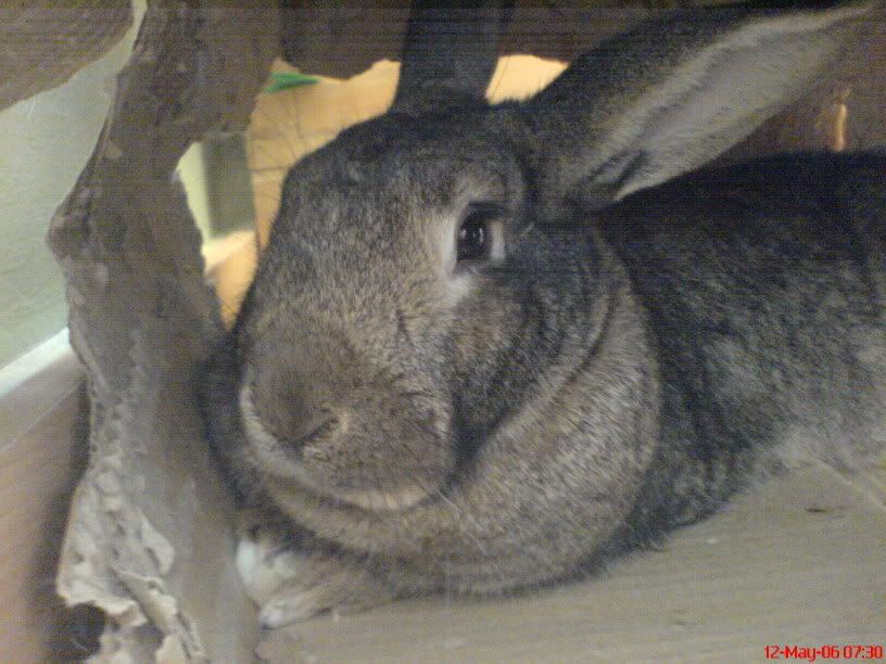 DSC00132.jpg