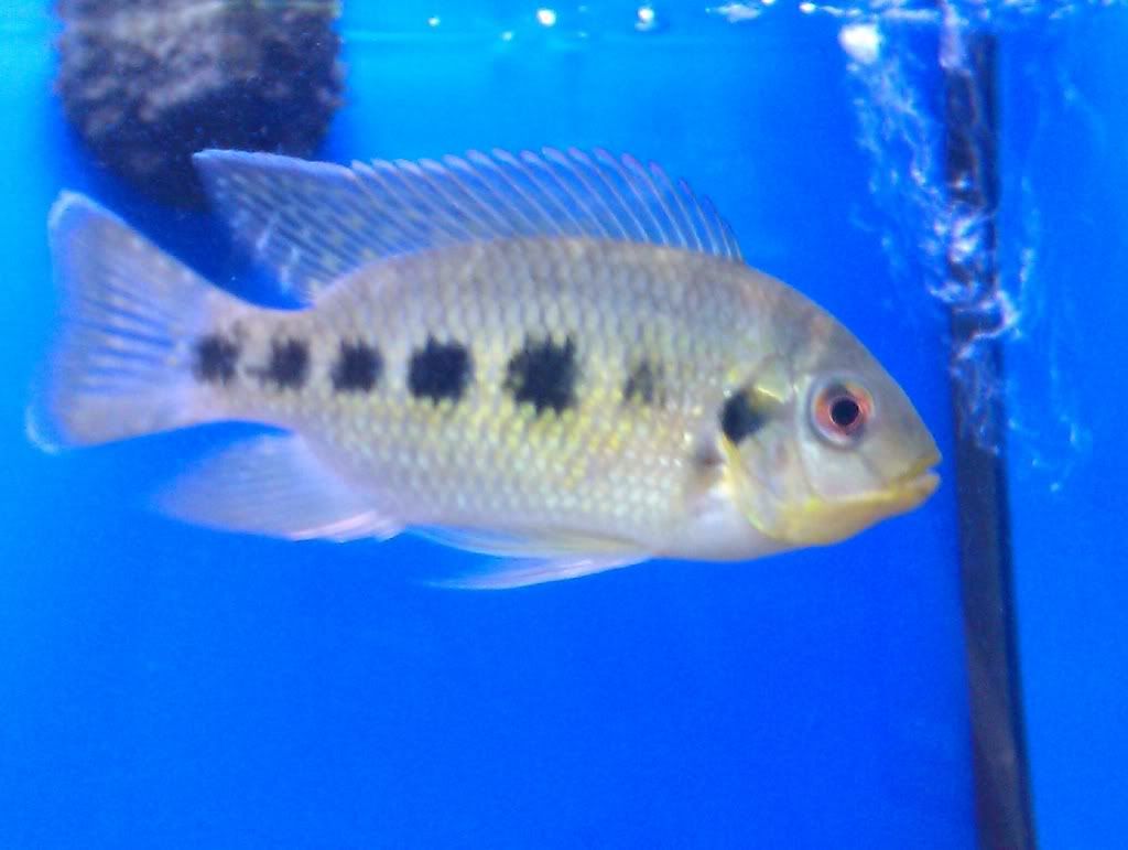IMAG0230.jpg