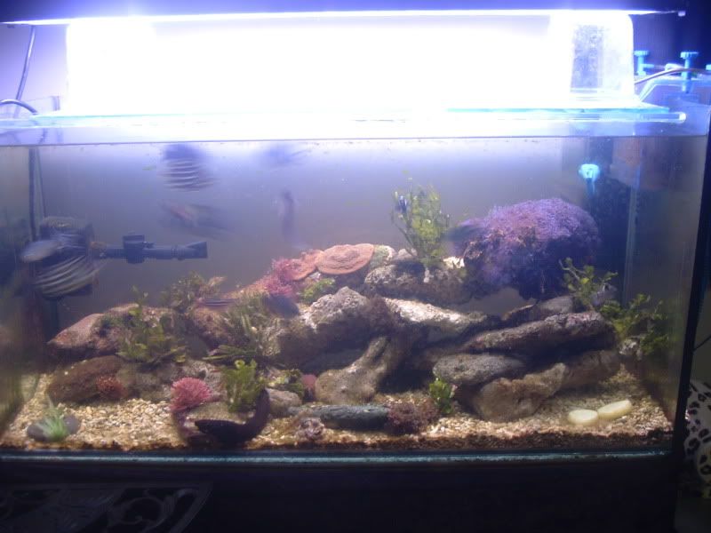 DSCF8033.jpg