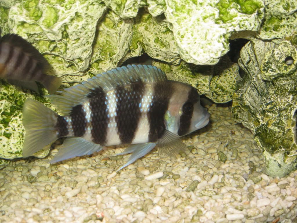 IMG_2514.jpg