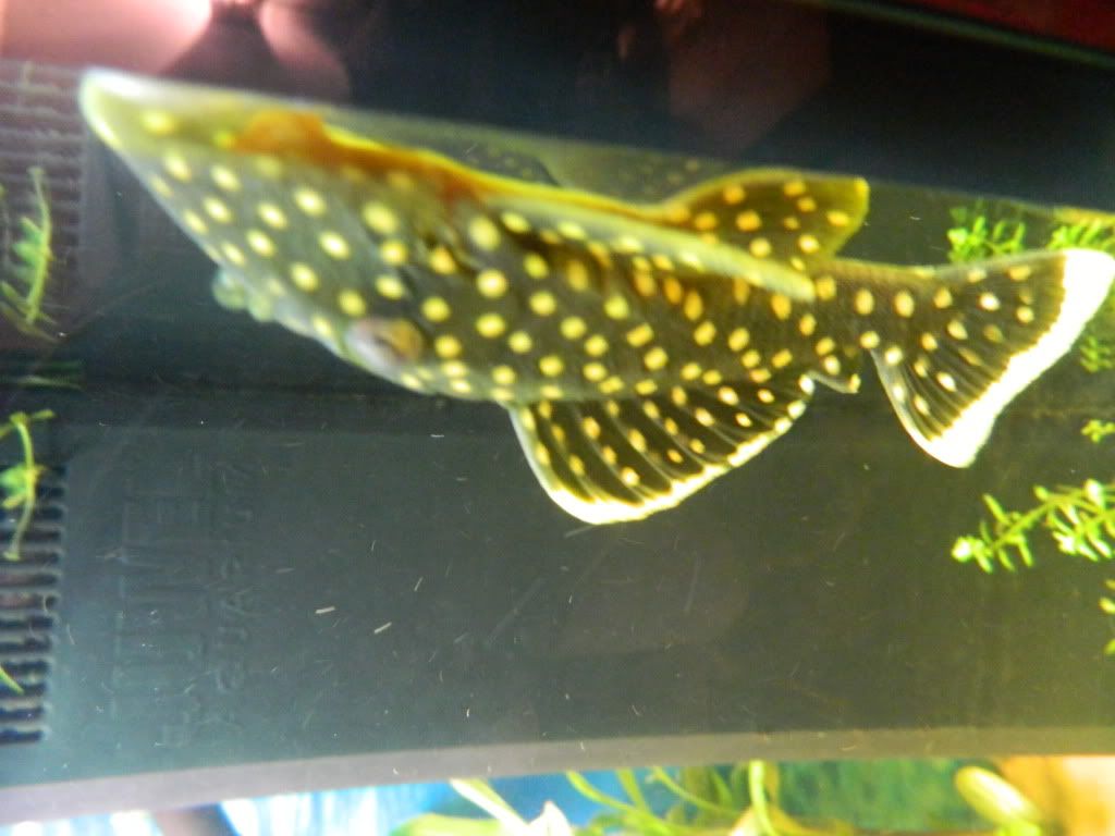 DSCN0377.jpg