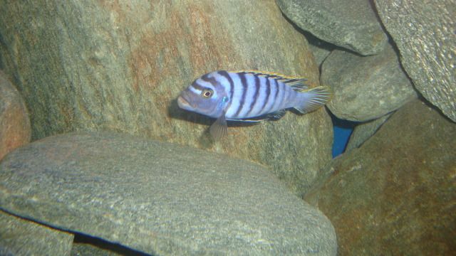 DSC03346.jpg